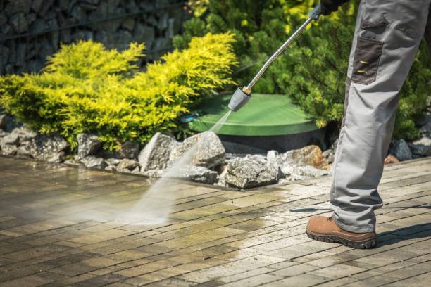 Animal Enclosure Cleaning in Imperial, MO