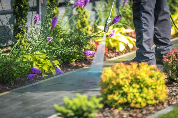 Reliable Imperial, MO Pressure Washing Services Solutions